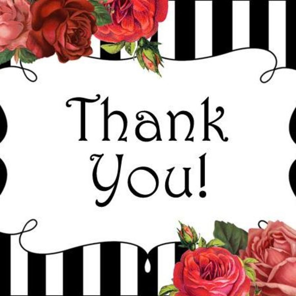 Meet your Posher, Ana